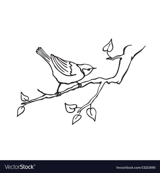 Контурное изображение птицы на ветке