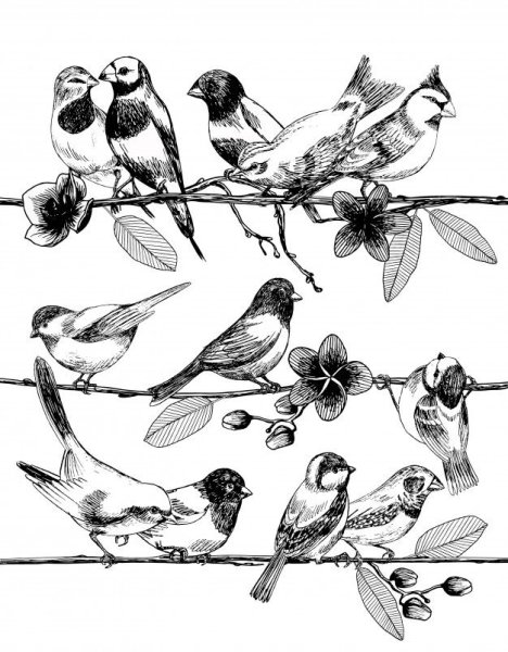 Птица на ветке эскиз