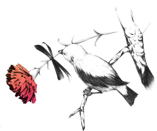 Наброски птиц на ветках