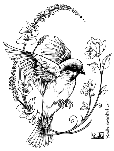 Тату эскизы птицы