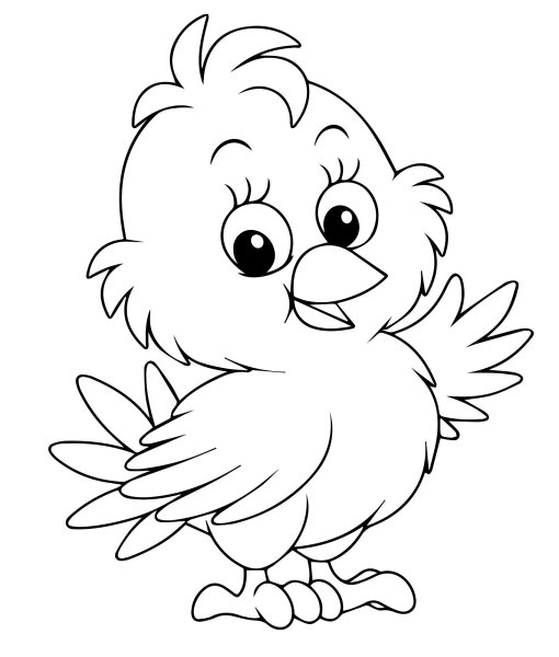 Цыпленок. Раскраски
