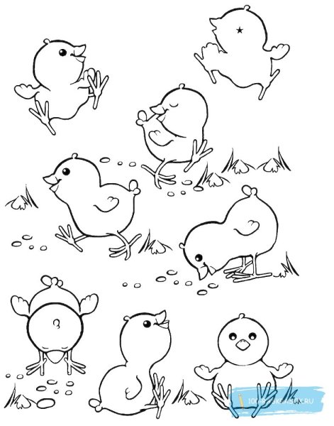 Трафарет цыпленка для рисования