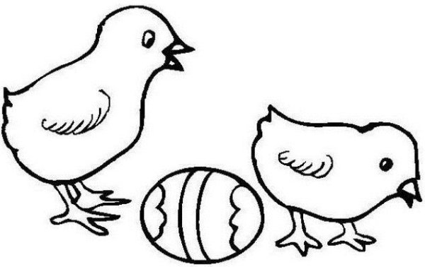 Цыпленок раскраска для малышей