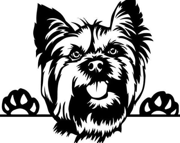 Йорк терьер силуэт