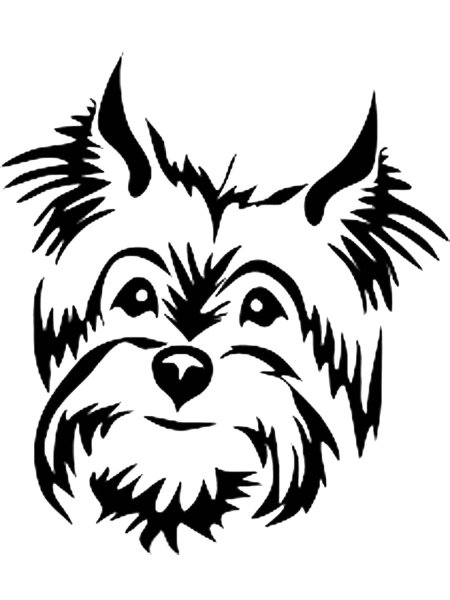 Йоркширский терьер для выжигания