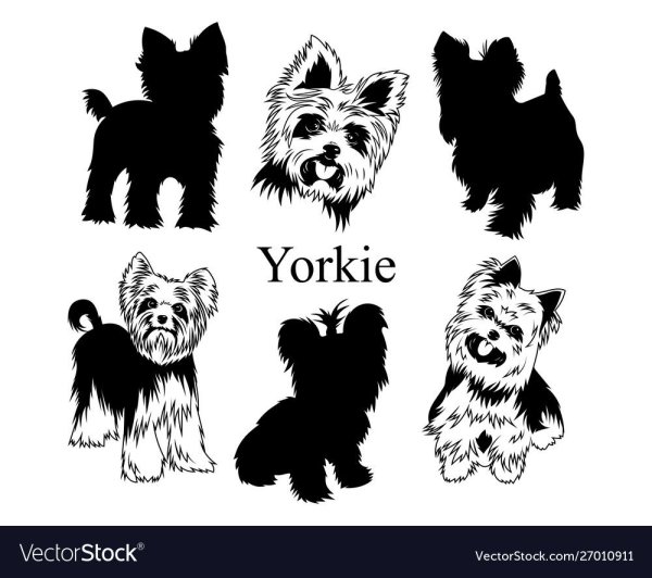 Йоркширский терьер силуэт