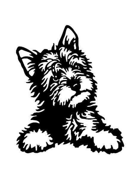 Йоркширский терьер