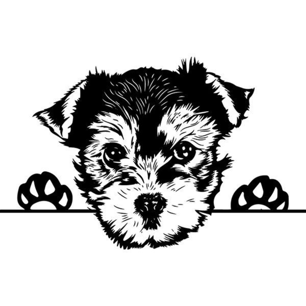 Йоркширский терьер Графика