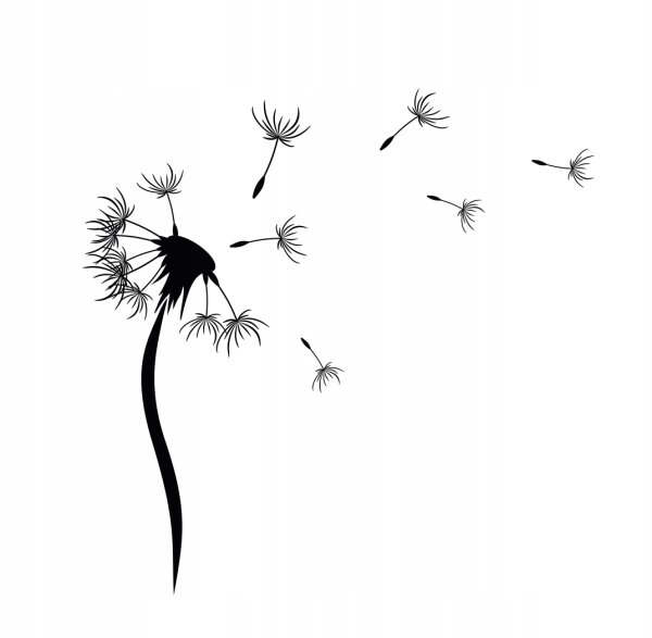 Одуванчики на стене