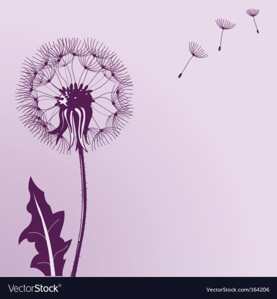 Рисунок одуванчики на розовом фоне