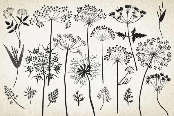 Стилизованные цветы