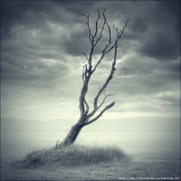 Гроза Графика