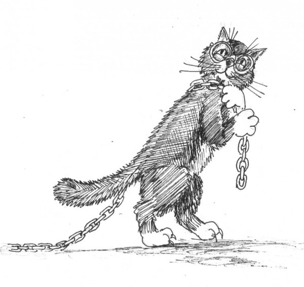 Раскраска сказки Пушкина у Лукоморья дуб зеленый