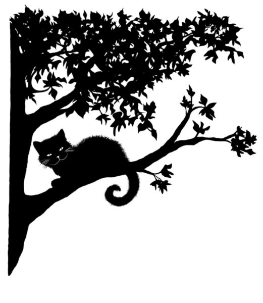 Кот ученый раскраска