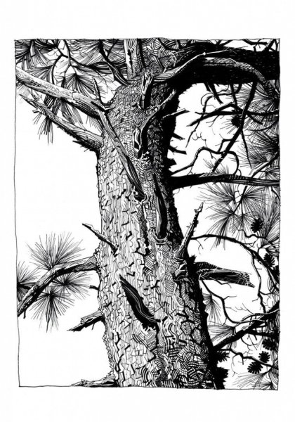 Деревья в графике