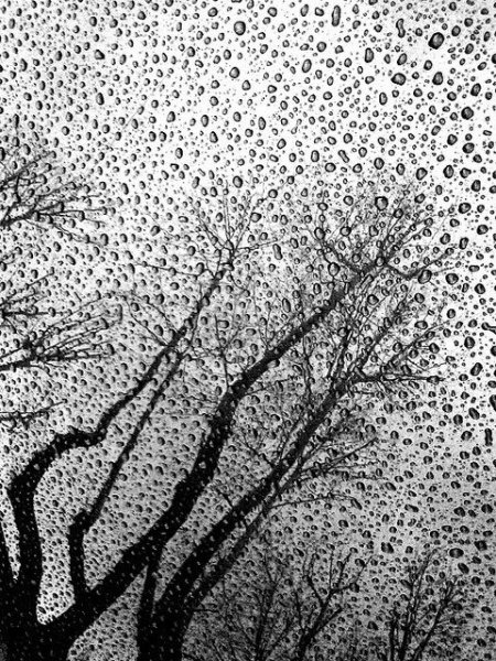 Рисование черными и белыми красками