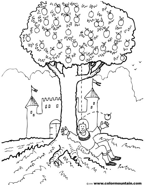 Ньютон с яблоком раскраска