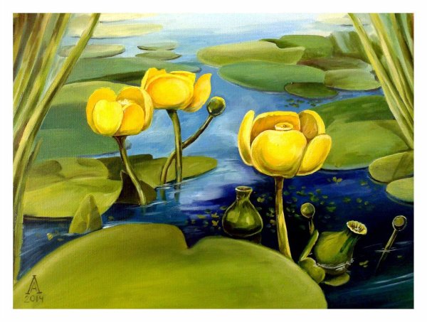 Кувшинка желтая кубышка картина