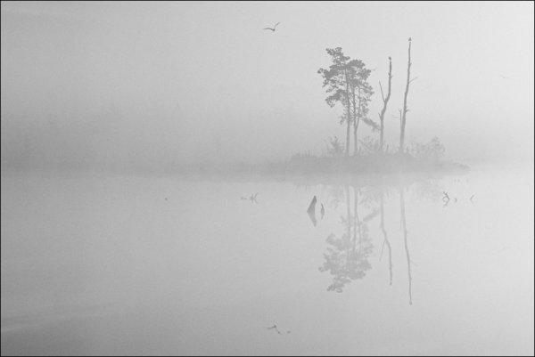 Туман Графика