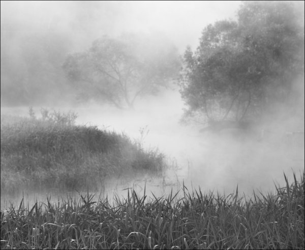 Черно белый туман