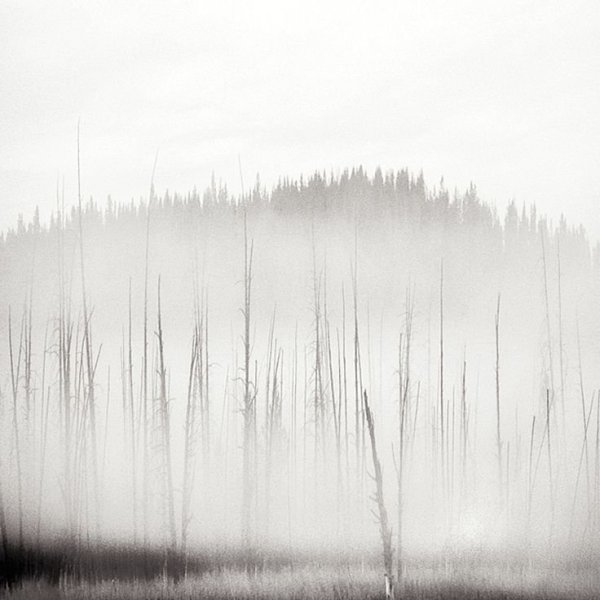 Нарисовать туман