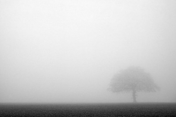 Туман иллюстрация