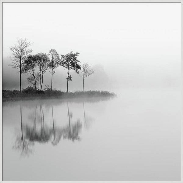 Туманное озеро