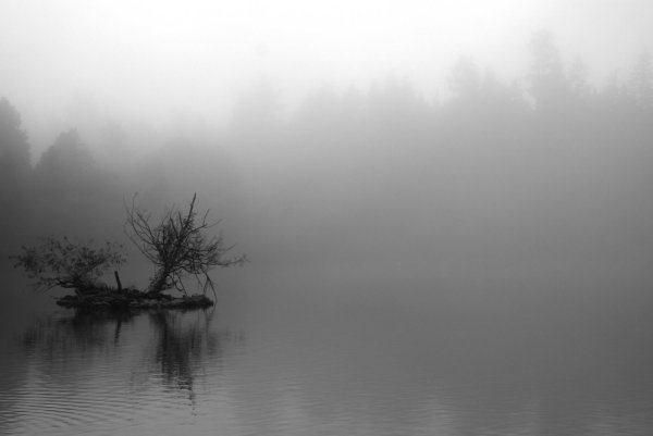 Туман на воде