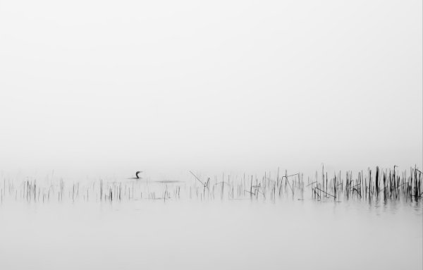 Туман Минимализм