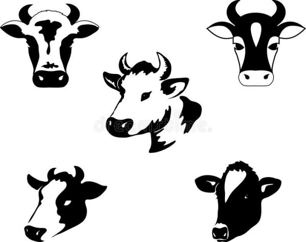 Морда коровы силуэт