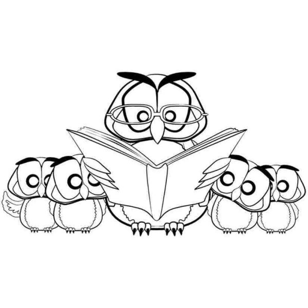 Умная Сова раскраска
