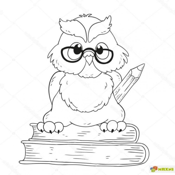 Мудрая Сова раскраска для детей