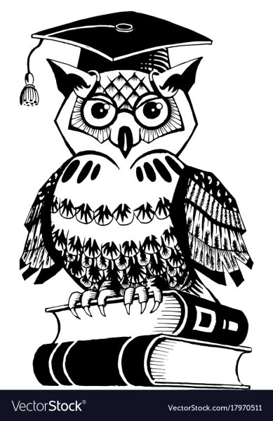 Сова с книгой чб