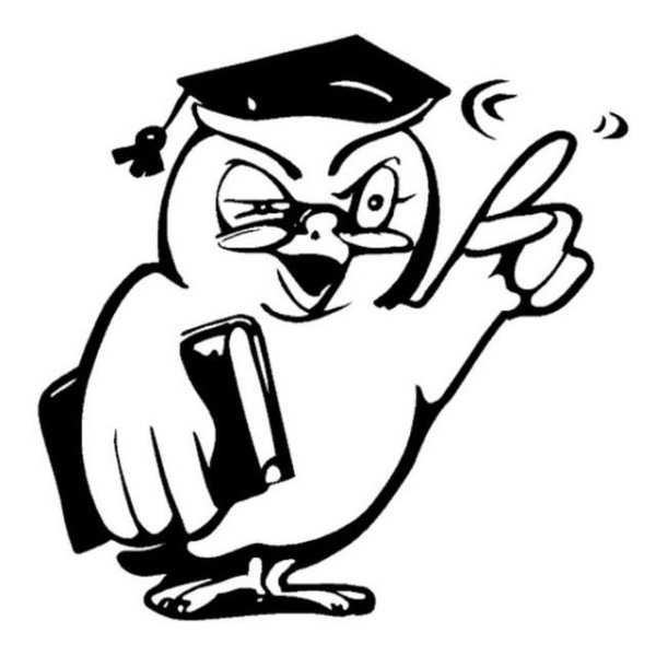 Сова с книгой