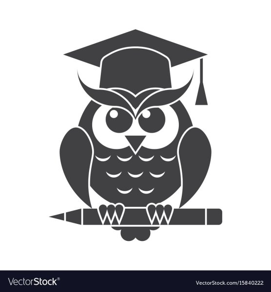 Сова в шапке вектор чб