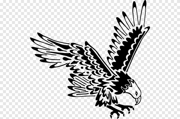 Наклейка Беркут