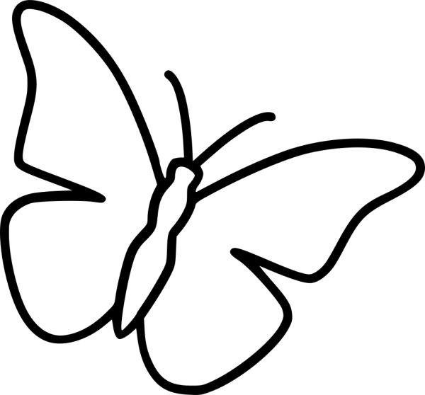 Бабочка контур