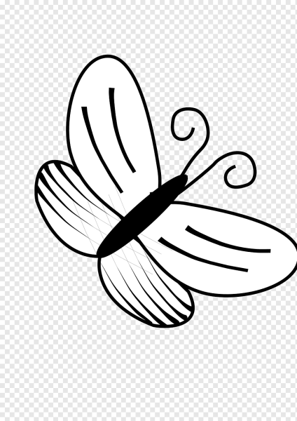 Мотылек контур