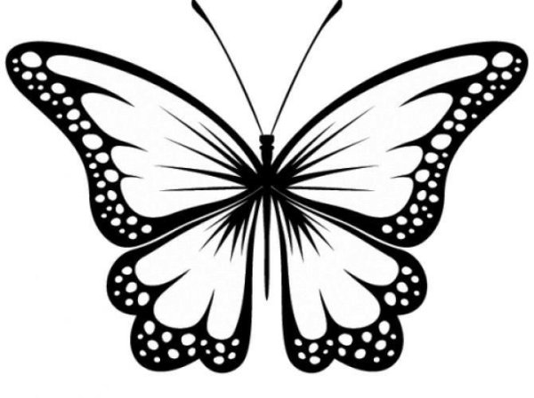 Бабочки черно белые трафареты