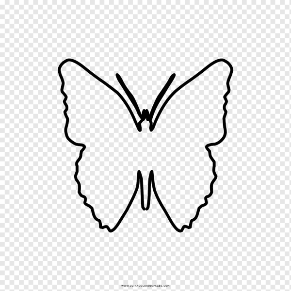 Очертание бабочки