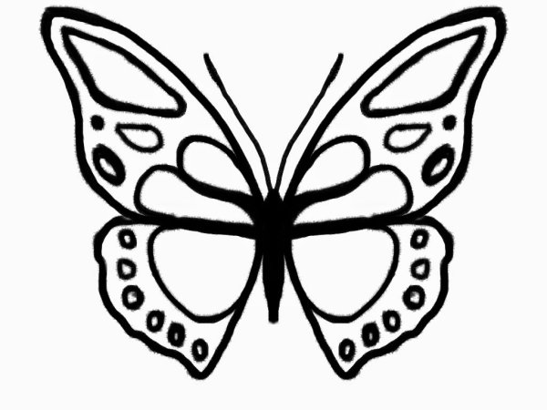 Бабочки картинки черно белые для вырезания