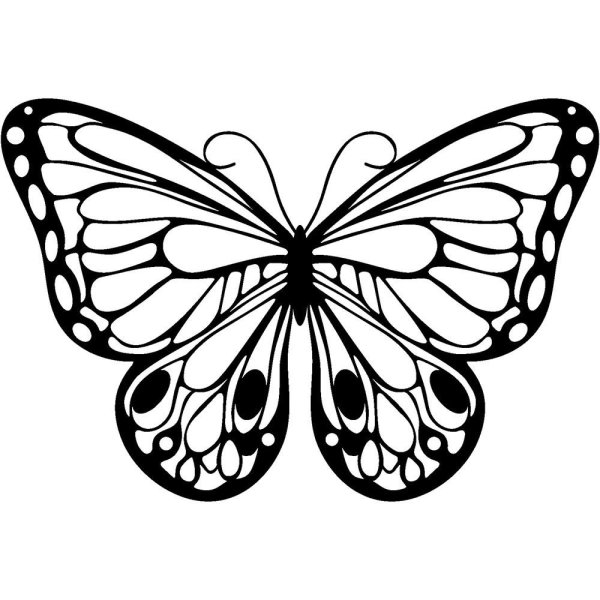 Бабочка эскиз