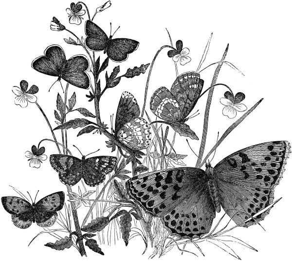 Винтажные зарисовки