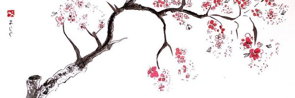 Японское дерево Сакура карандашом