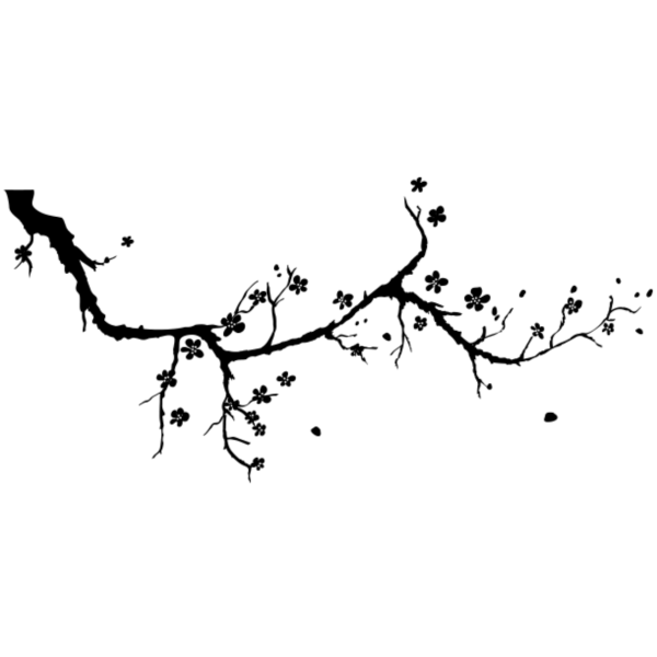 Ветка Сакуры черно белая