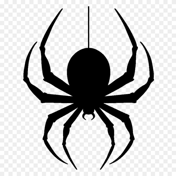 Паук без фона