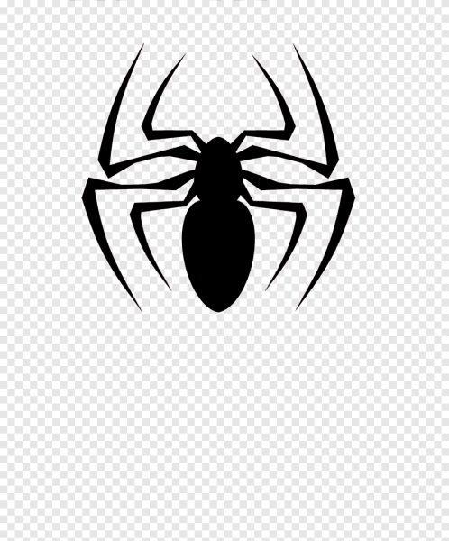 Паук силуэт