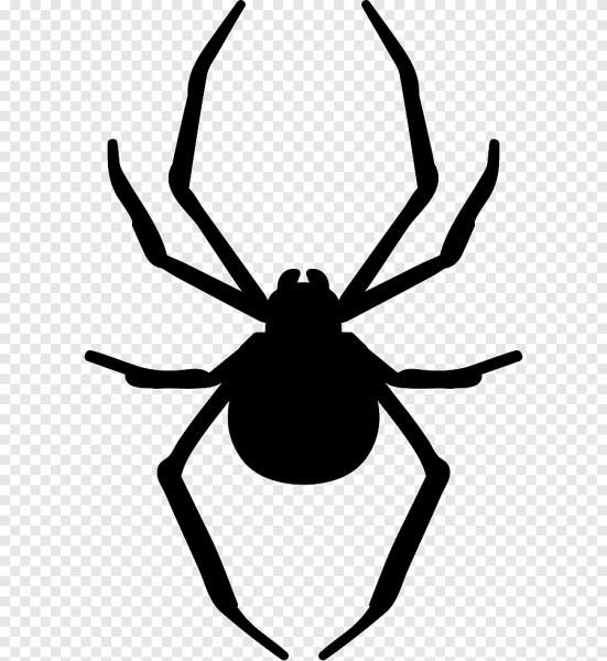 Паук трафарет