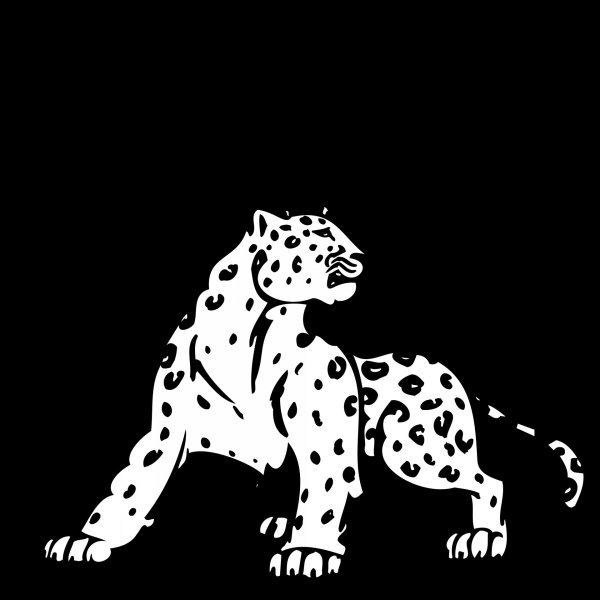 Чёрно-белые рисунки