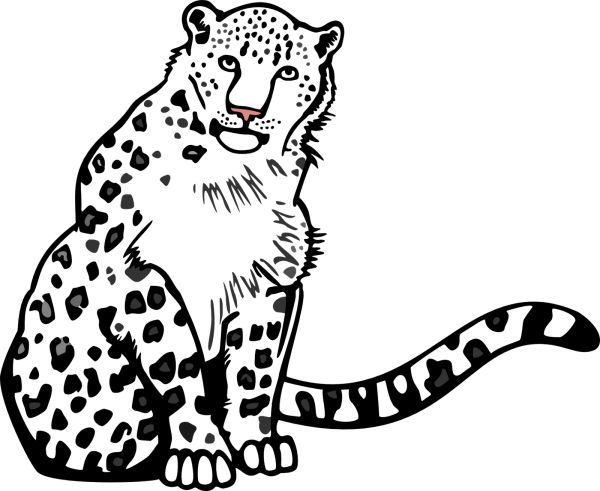 Снежный Барс Ирбис